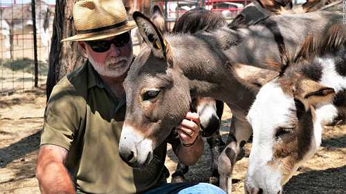 Inside the country's largest sanctuary for abused and neglected donkeys