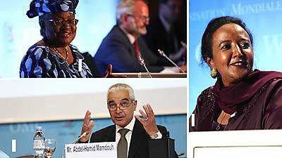 Could there be an African director-general of the WTO?