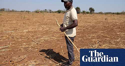 ‘I have lost everything’: southern Africa battles hunger amid historic drought