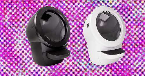 Our 6 Favorite Automatic Cat Litter Boxes