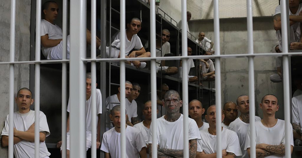 UN warns U.S. deportations of Venezuelans to El Salvador  | Africanews