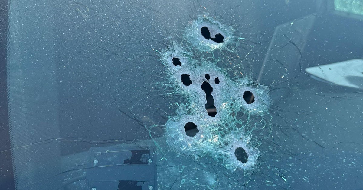 Man shot and killed by Florida sheriff's deputies in confrontation after apparent alligator attack