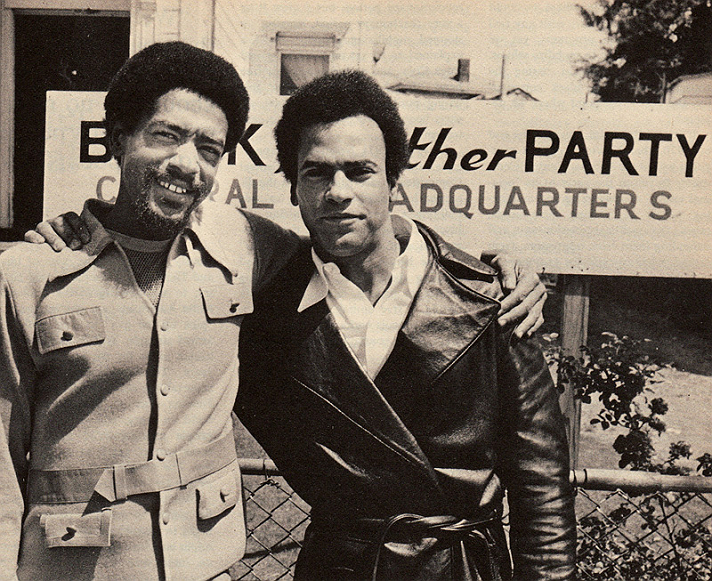 History of the Black Panthers