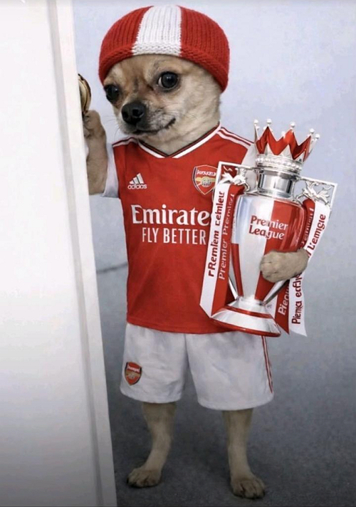 The jubilation is not over  Arsenal is still at the top #entertainment #Arsenal #FOOTBALL