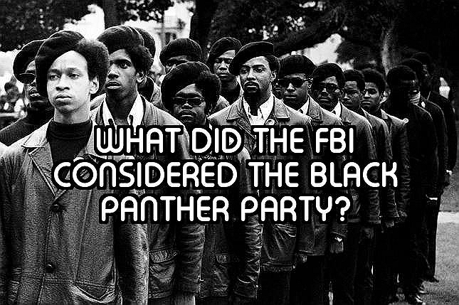 How Well Do You Know The Black Panther Party