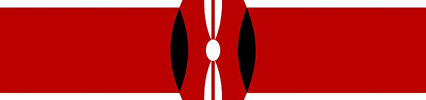 Kenya Networking Hub