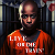 Post: homepage - Live or Die Tryin - My Journey to Freedom, Forgiveness and Healing